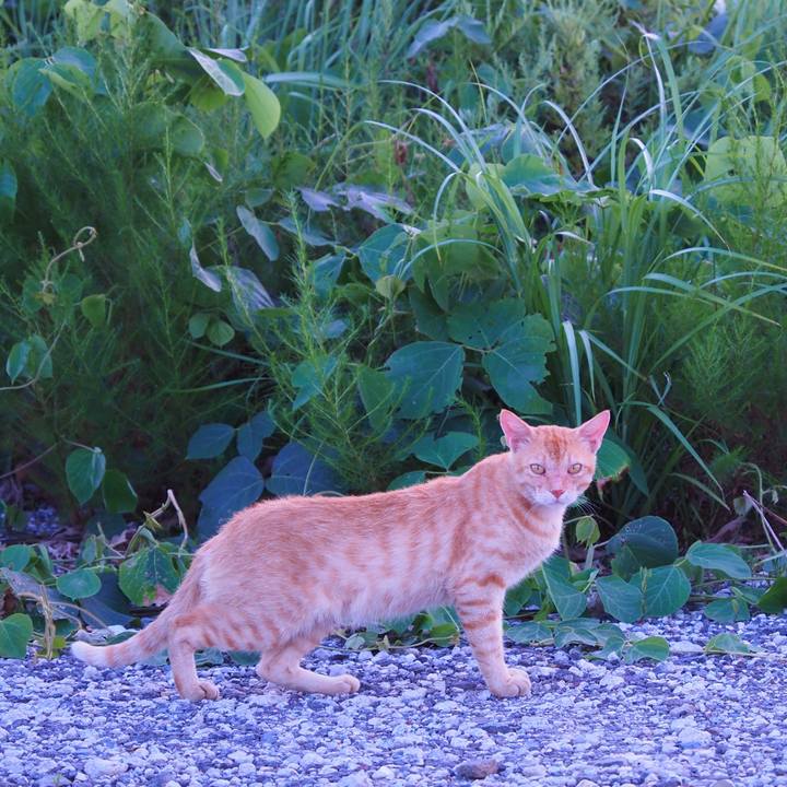 62d62ca3 1287 49e4 87ff a4149fcfef6d 1597924309597