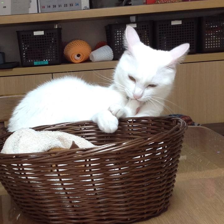 62d67ea4 bdac 47cf 985d 420743fee31f 1627712559414