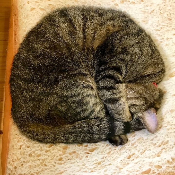 62d67eb9 d647 4d96 a472 9da588faef68 1554206278441