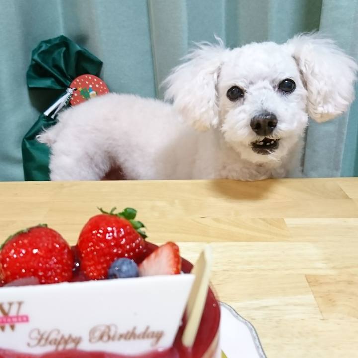 62d693b1 7dd9 40a7 ba1f 7afb5ebeb367 1574068440153