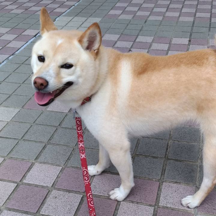 62d6ad9d 4d6c 4a12 9186 a71a739f9f6a 1563531197562