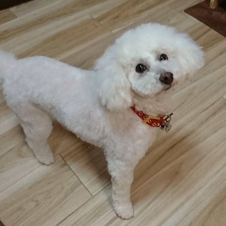 62d6b32d 7255 4057 a814 be8ad8bf914f 1548411911711