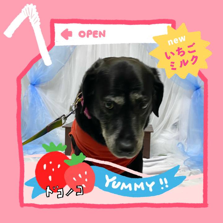 62d6bd46 0589 4851 8b52 aa99136e419f 1710988694099