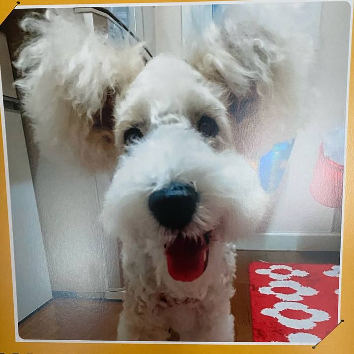 62d6c905 b5e1 4650 9182 7f02f7f8708e 1596232560761