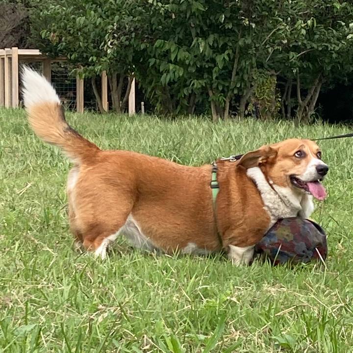 62d72dc1 0333 4934 8768 fa0546e9fe00 1760516330709