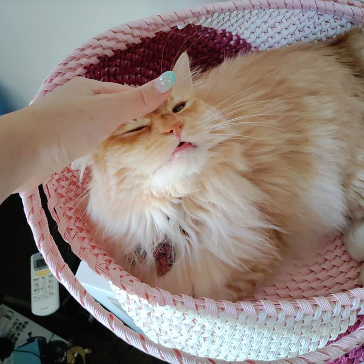 62d74bd4 62d2 4dff b3f7 e149e11979d0 1655504621111