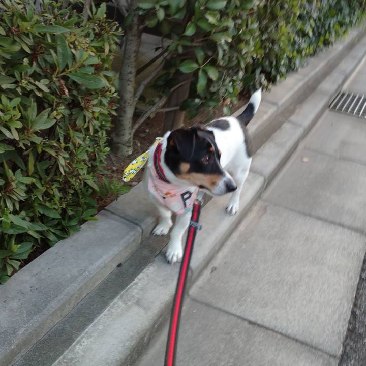 62d75a55 c192 417c aa5e 20d82811b2bb 1596716804368