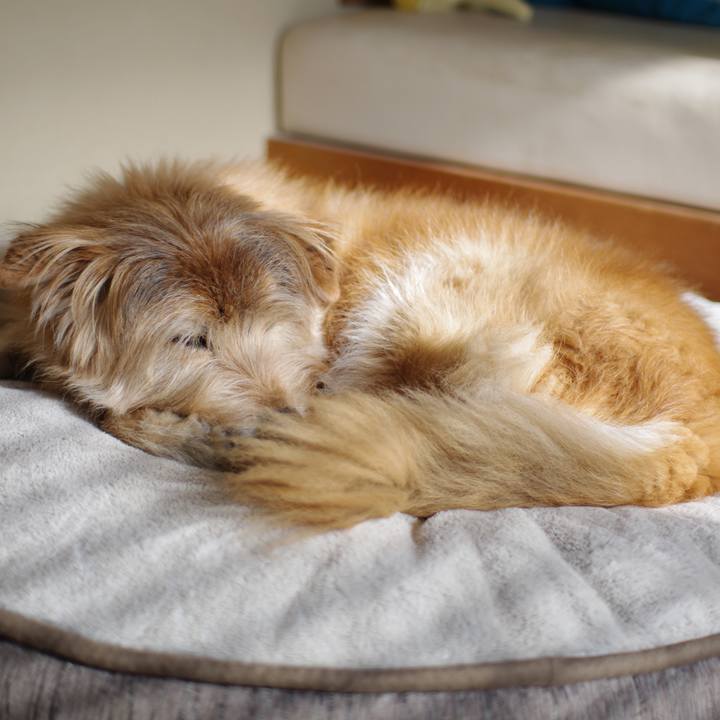 62d78163 de61 44b6 b3f8 4945cc1d7f50 1614228462888