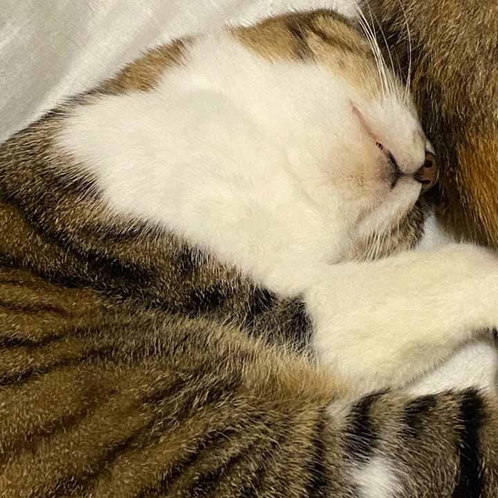 62d79c01 295f 49c1 a253 6955faa6025a 1617883806453