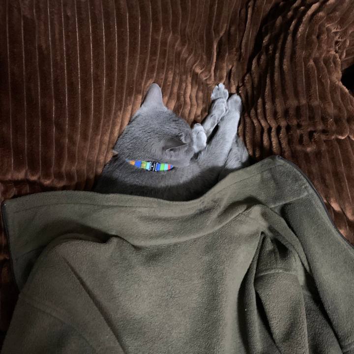 62d7ac03 5244 4f2e 8bd3 c29b819d1fd4 1676169179736