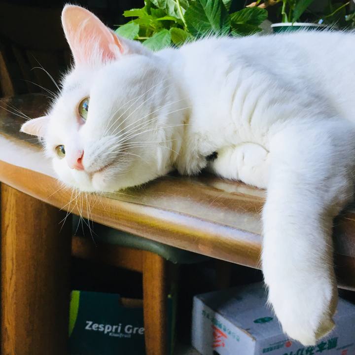 62d7ada0 6ba3 4431 a349 8b934775846a 1564630966771