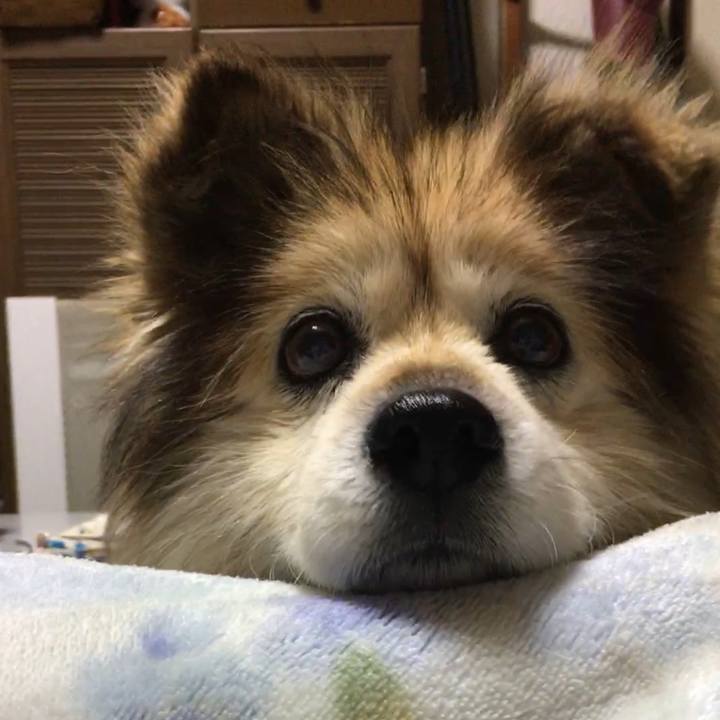 62d7d7d1 9aa8 40a0 bb6b 52997371f4e9 1659660718268