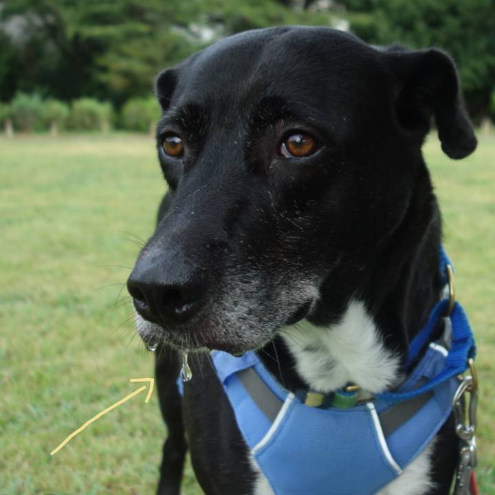 62d7f674 c46f 4da4 9301 32eb84778d9b 1691539246089