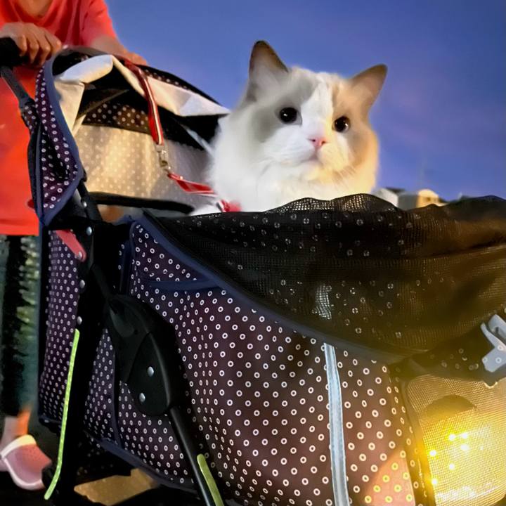 62d802a5 ef5d 43f4 81e1 d57f6279c740 1727167766559