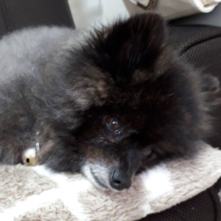 62d8325b 8172 4f34 abb0 ade72ddd67d6 1543371100690