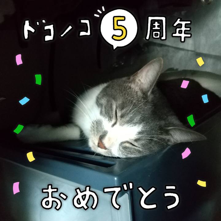 62d8591d 202c 41c0 8d3b ee9374f272f4 1623194975855