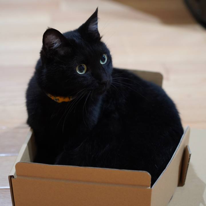 62d8639c c088 4a81 88f6 5f36418984ee 1622555436063