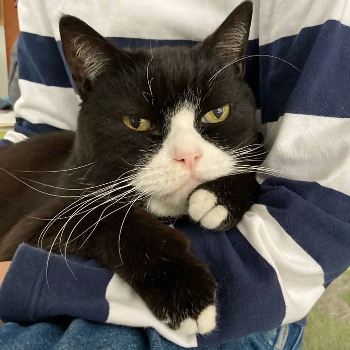 62d86dbc daf2 4b1c baa5 9ba168eb27e7 1641002735039