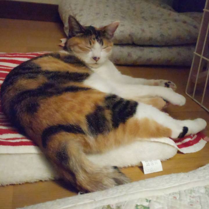 62d8e1a0 92ba 415f aeb2 99119949fdb0 1647782523826