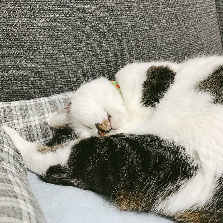 62d8fcdd 2969 45d2 b50a bb9a044729f3 1509353900897