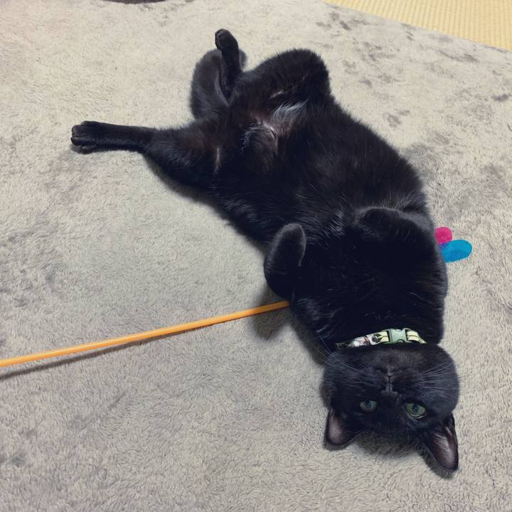 62d93371 dffc 4d2a 9181 6fb9d1b7e782 1550409586049