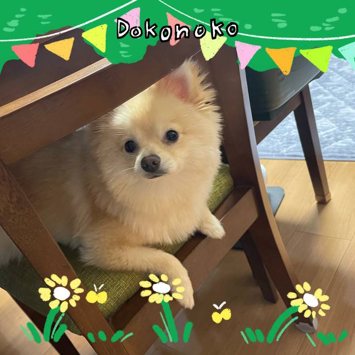 62d94e9e e845 4b32 9c4a e9ce91727f89 1711123772254