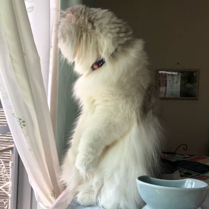 62d97fa5 ff25 4b74 ae1b 13a5979441f4 1649938467378