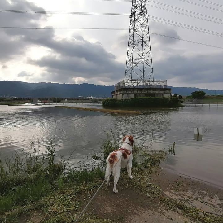 62d983b0 3ea2 48bb bca6 e924bd23264b 1621641755794