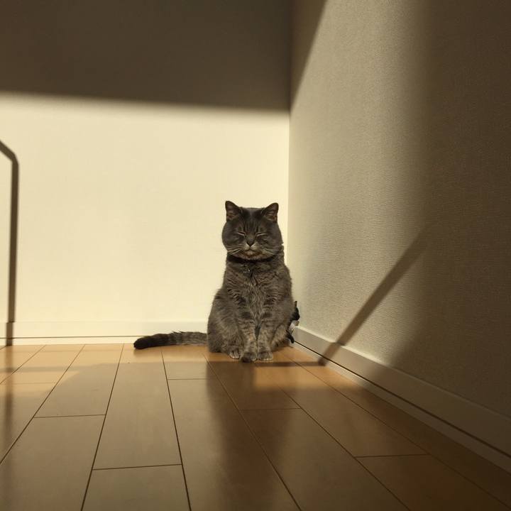 62d9873e fb6c 4b21 ae49 b417e4b89850 1520998742445