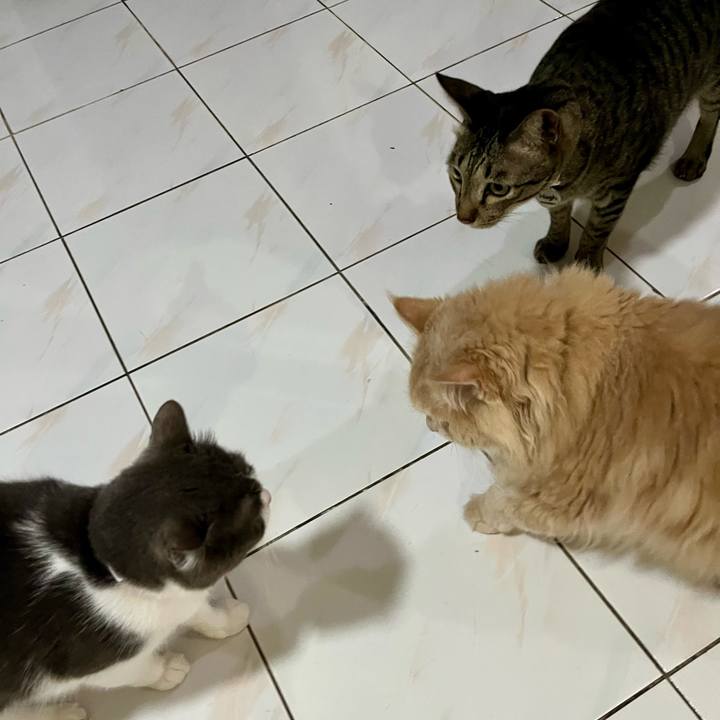 62d98d5f 4f44 4e51 83a4 6adc6cbc654f 1768645951397