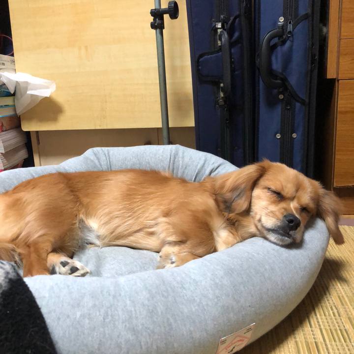 62d99b60 0491 4091 9520 c72cc32d0ec2 1511068875305