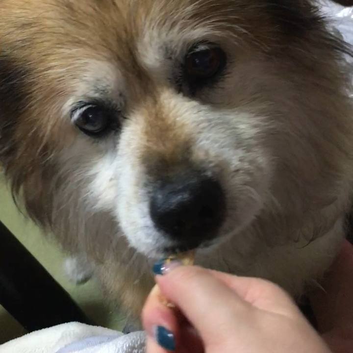 62d9d7f4 88ab 4288 825d c4182b5d804a 1600548398780