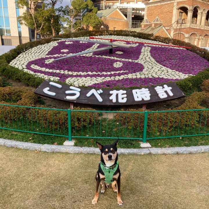 62d9dfb6 cc4b 47ef a839 f0b8f4776040 1607822885296