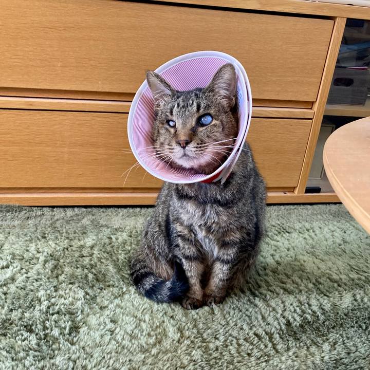 62d9f60e 97bd 4615 bf43 7e5836550e70 1684897861673