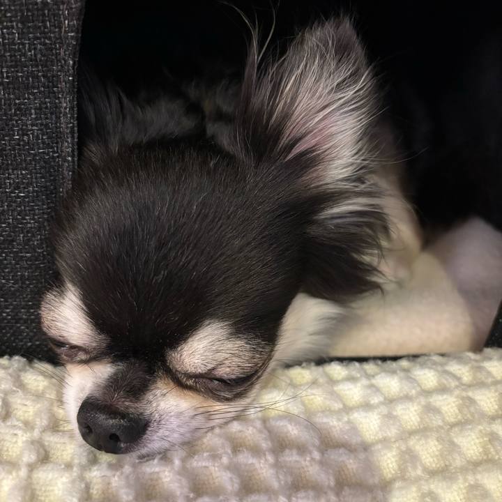 62da0a71 6edc 4216 8a19 cf766b78c082 1728750320615