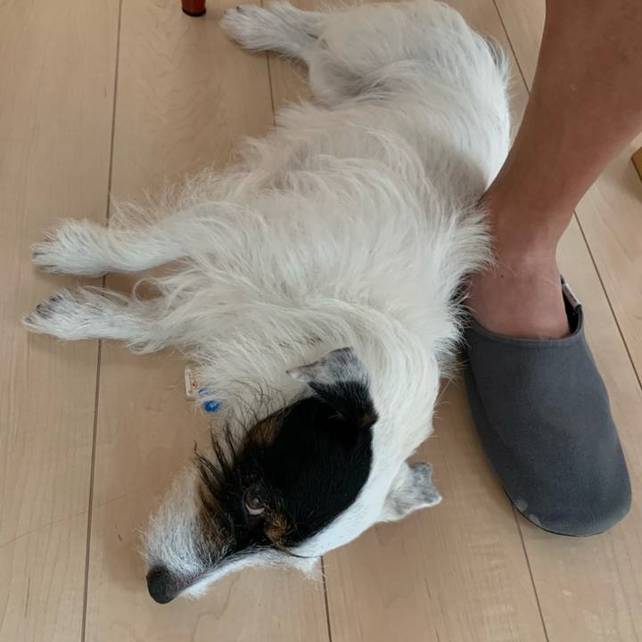 62da262e e880 4de8 ba7b 0b3226810faa 1628388737121