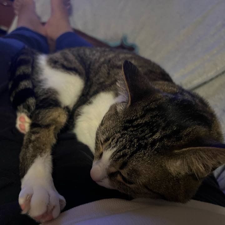 62da5230 64a4 40c2 a73a 3996c254361b 1710784237722