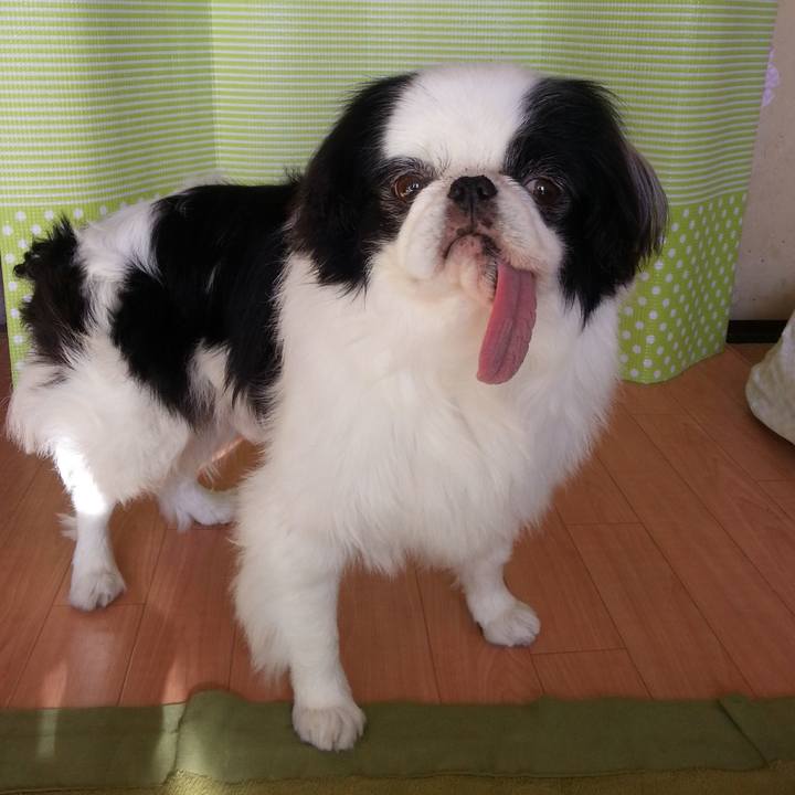 62da77f2 72d4 4e20 8623 d8363249c3fe 1628806998641