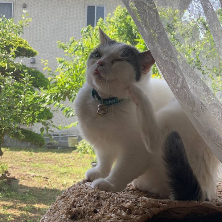 62da9781 dd20 4e79 a60d 5052b3a8899f 1688339976952