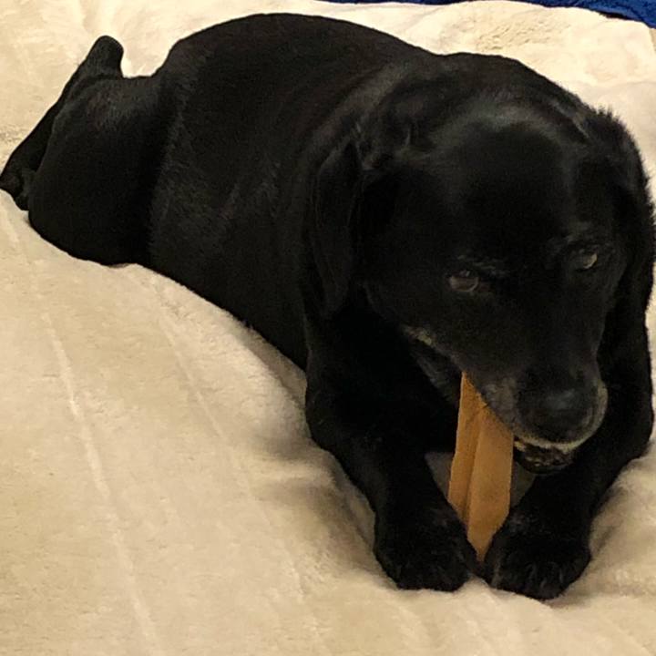 62daac7d 2fe2 4ad2 b4ca 4c4bfd6492ba 1583664093427