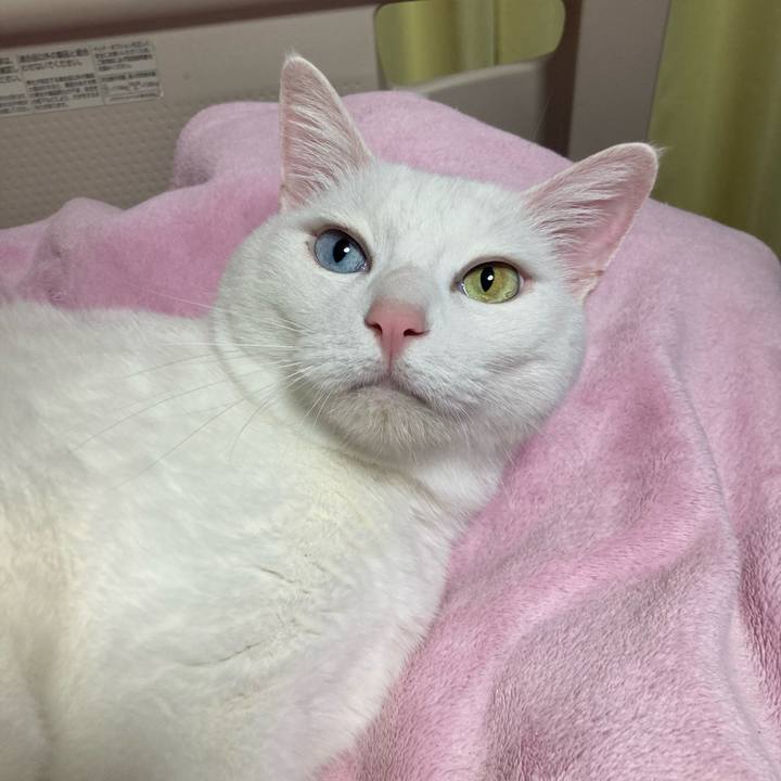 62daca1a bcd3 4e59 a73d 800bd2e3cada 1775377900369