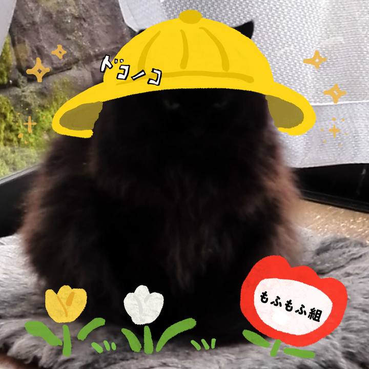 62daee18 cdda 49af 9d53 3538bf64565e 1712237809965