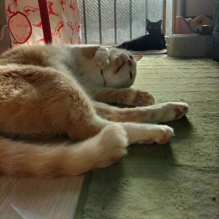 62daeffc d7e1 44ad 81d7 41679b41a1c3 1662244244657