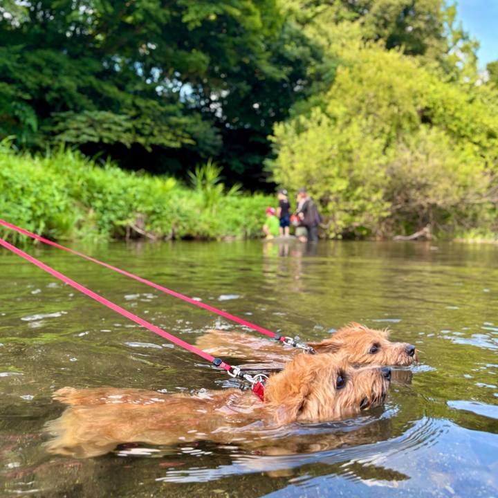 62daf8d7 7a4b 4083 9fce 4490cdd5f16e 1763303276034