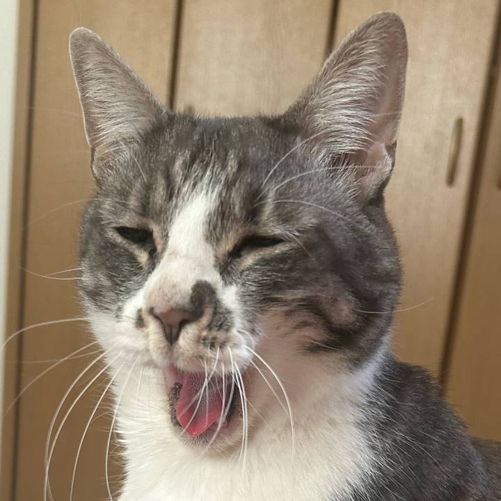 62db481e 482a 479f 9607 37645991bf66 1771032727676