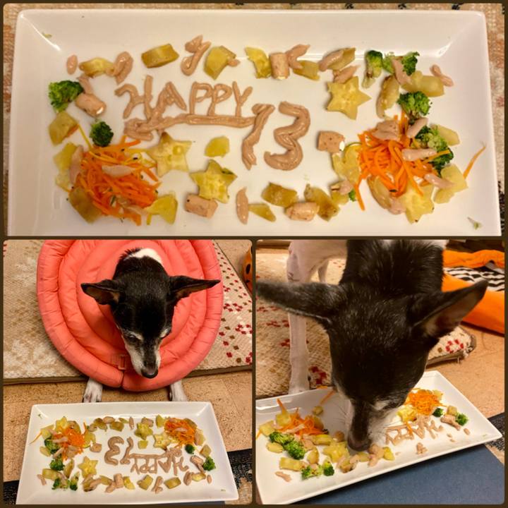 62db5abc 3218 4200 921c 0c63b1c37d70 1631619016024