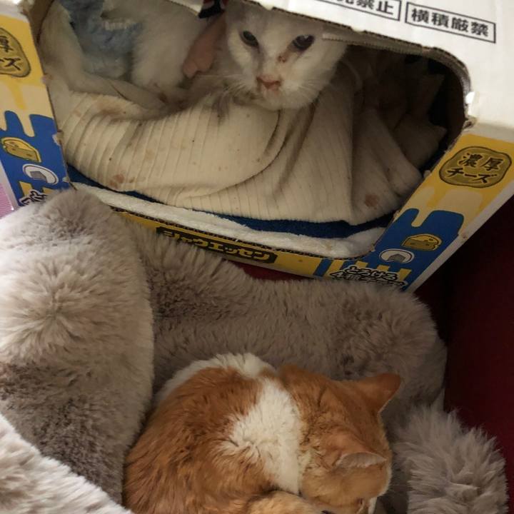 62db9910 63c6 49bf bb50 7ade096ab7e9 1641451966671