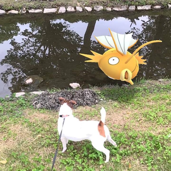 62db9dfb c9ff 4560 95df 47fad0606f54 1556448630687