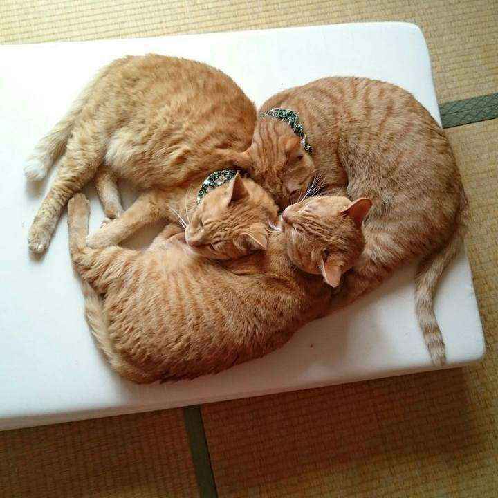 62db9ea8 9924 4734 abd4 224906904177 1566452830466