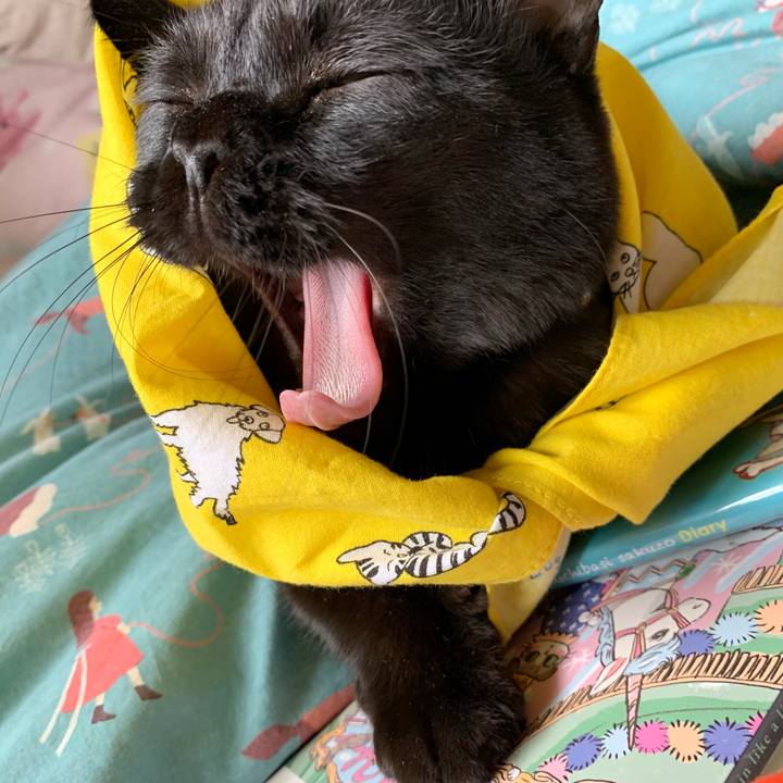 62dbacc3 f89f 4fa8 8763 c52e6bf4db97 1556672871695